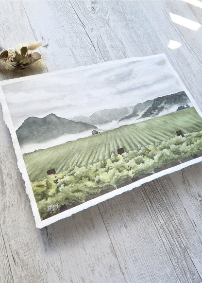 Valley Vines - ORIGINAL - Young by Design