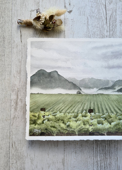 Valley Vines - ORIGINAL - Young by Design