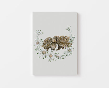 The Echidnas.