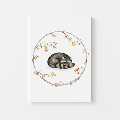 The Sleeping Raccoon.