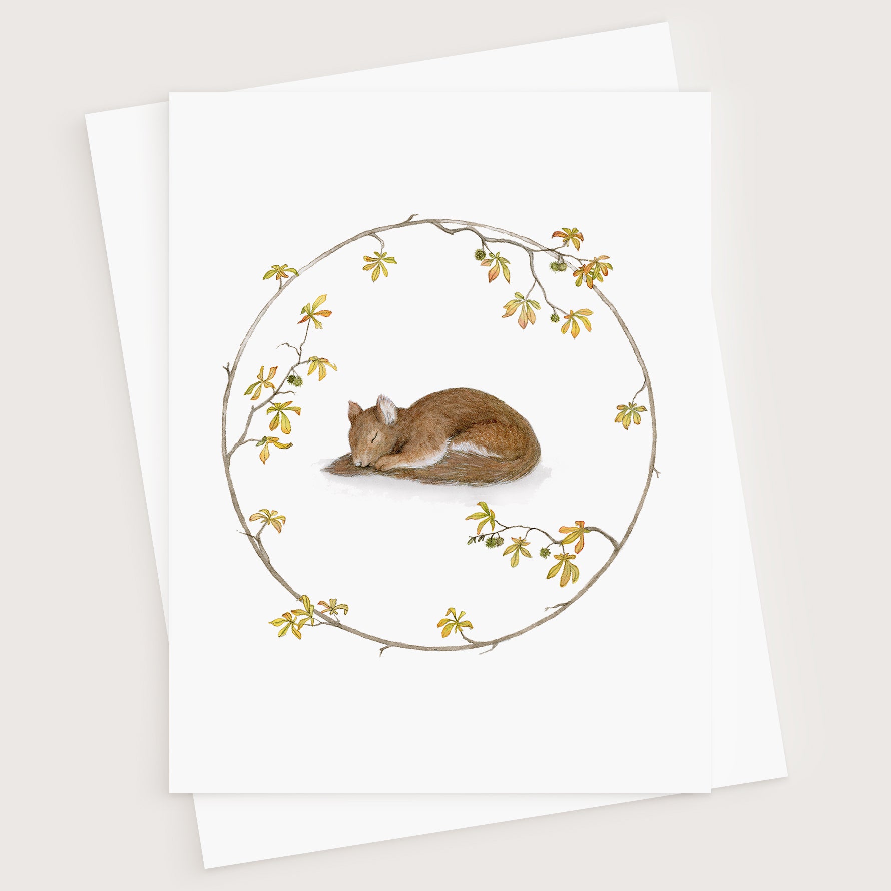 Sleeping Squirrel Greeting Card - Young by Design