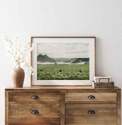 Valley Vines - ORIGINAL - Young by Design