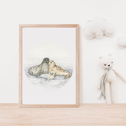 The Harp Seal Family.
